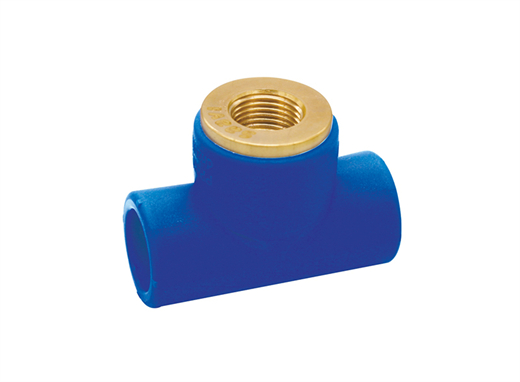 blue pipe-SAAVI