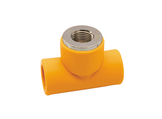 yellow pipe-SAAVI